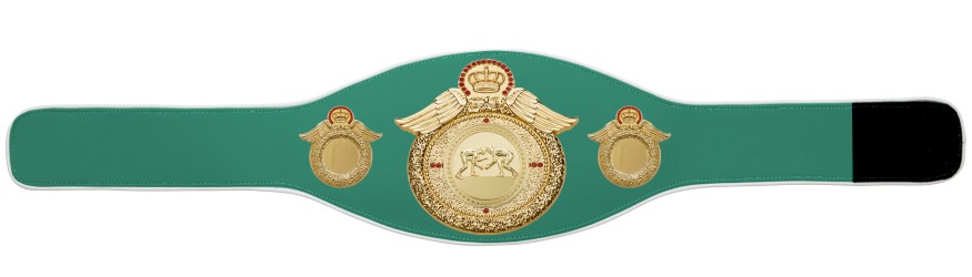 GRAPPLING CHAMPIONSHIP BELT-PROWING/G/GRAPPG-6+ COLOURS